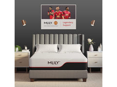 Mlily Pocket Memory Mattresses: The Largest In-Store Selection