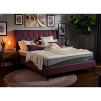Mlily-Pocket Spring with Memory & Gel Foam Divan Beds