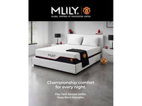 Mlily Pocket Memory Mattresses: The Largest In-Store Selection